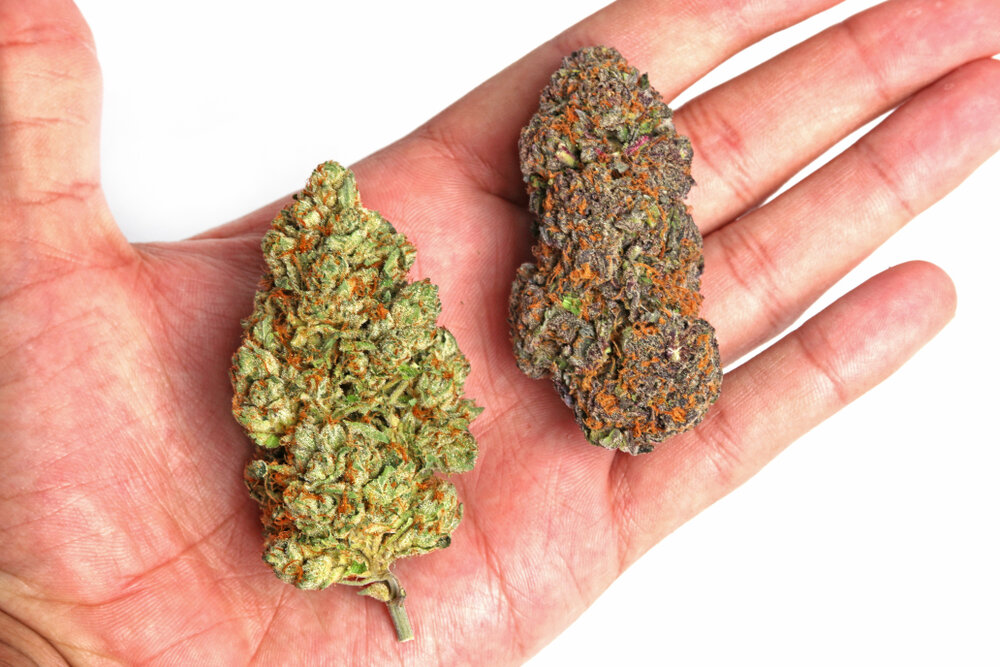 CBD Hemp Flowers
